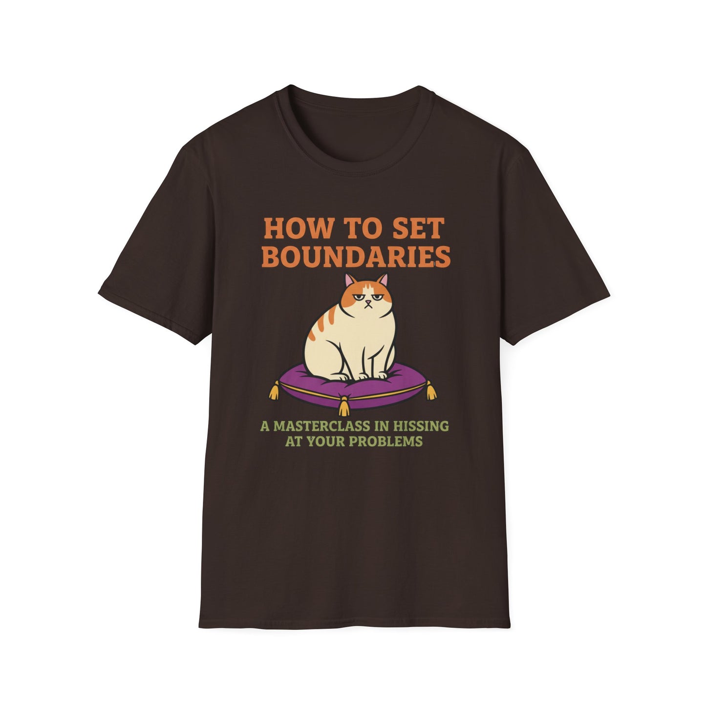 How to Set Boundaries: Hiss at Problems graphic t-shirt mockup