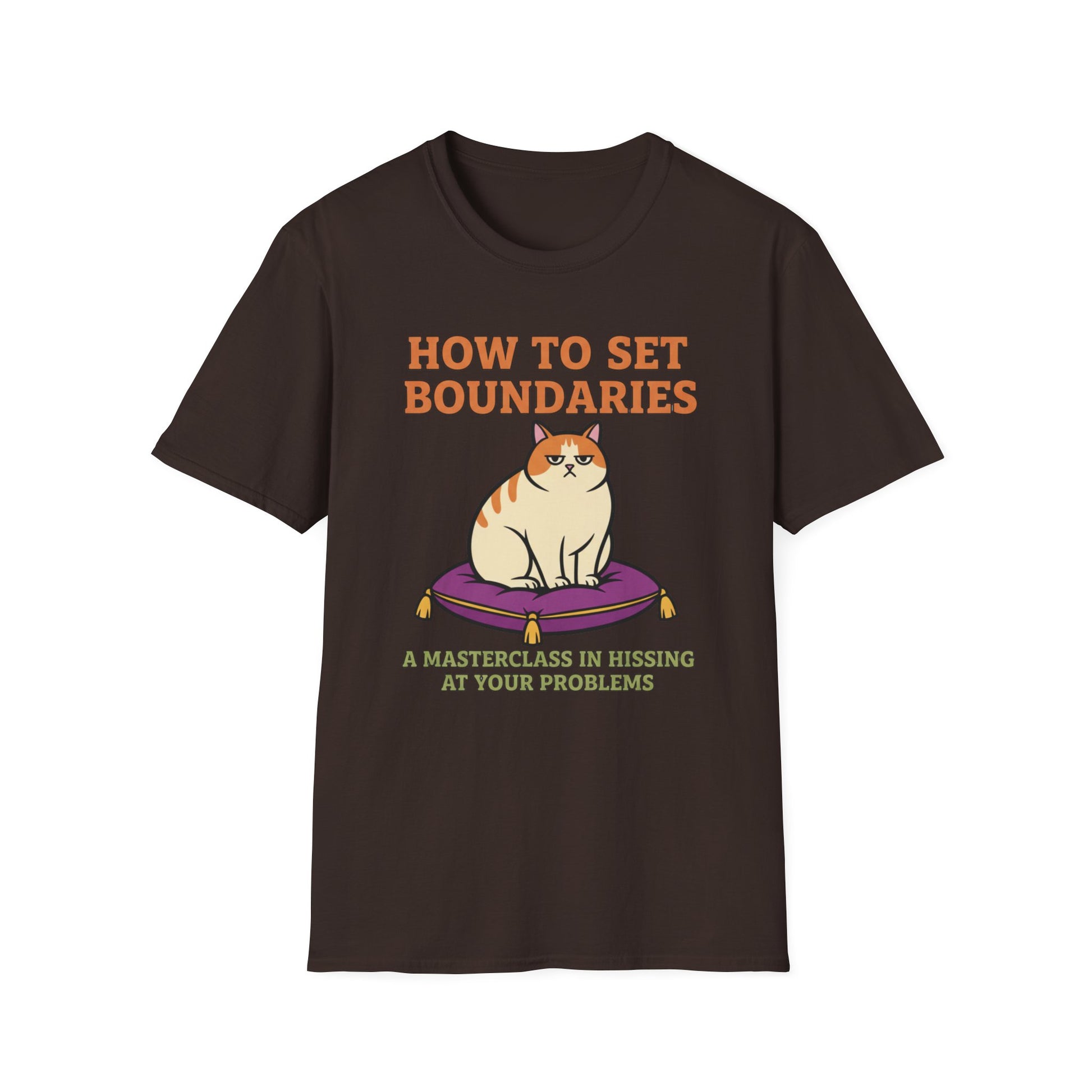 How to Set Boundaries: Hiss at Problems graphic t-shirt mockup