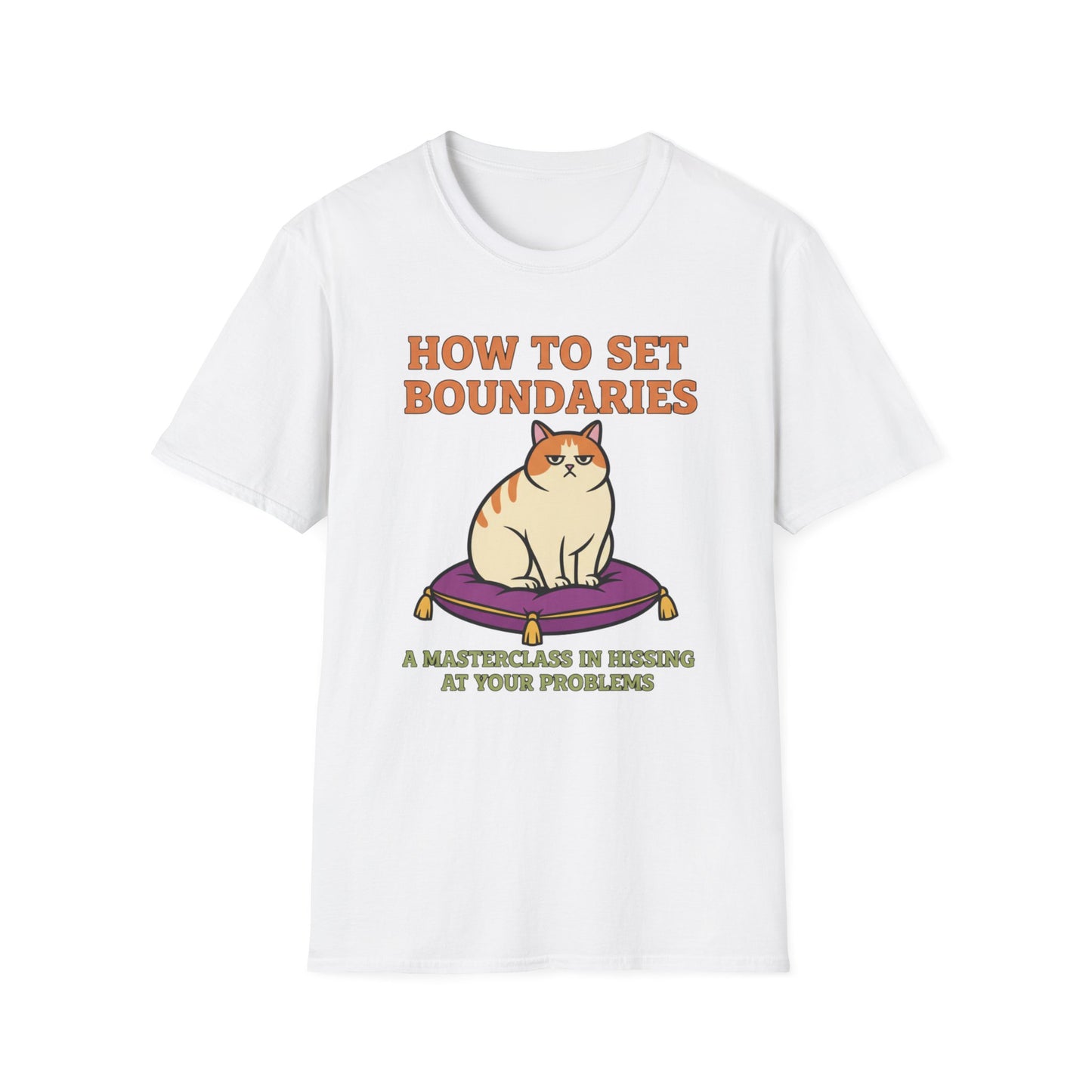 How to Set Boundaries: Hiss at Problems graphic t-shirt mockup