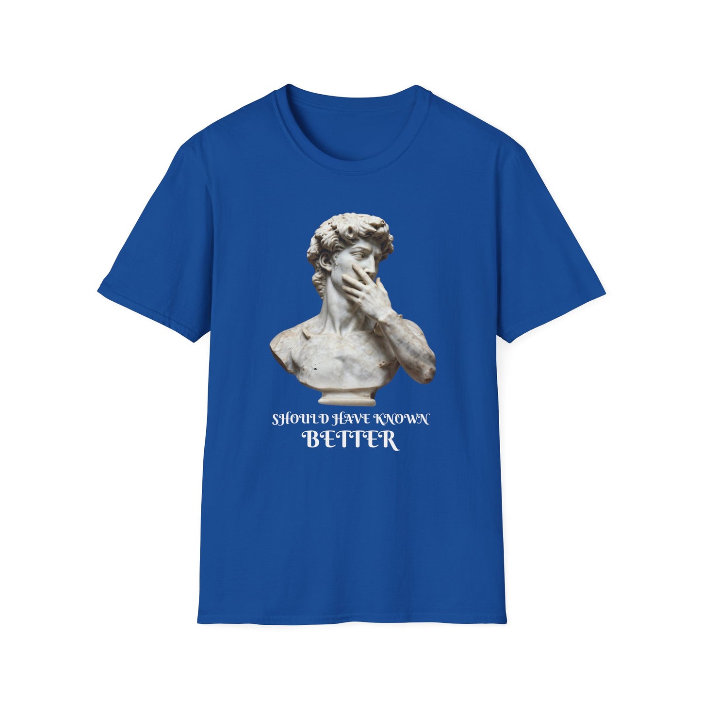 Should Have Known Better graphic t-shirt mockup
