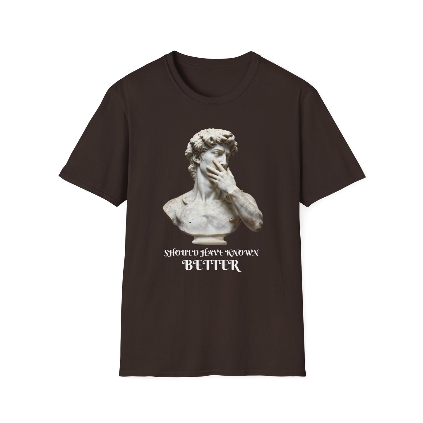 Should Have Known Better graphic t-shirt mockup
