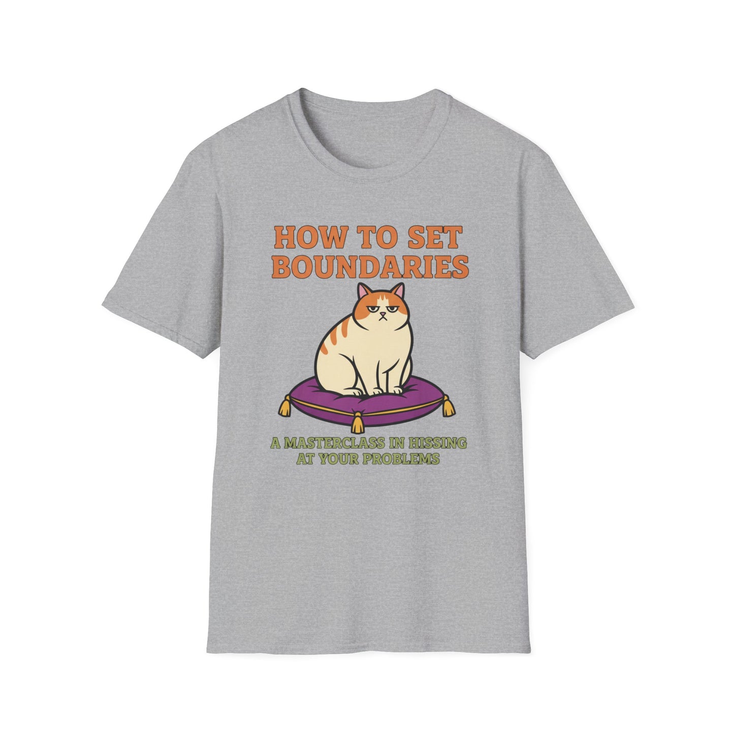 How to Set Boundaries: Hiss at Problems graphic t-shirt mockup